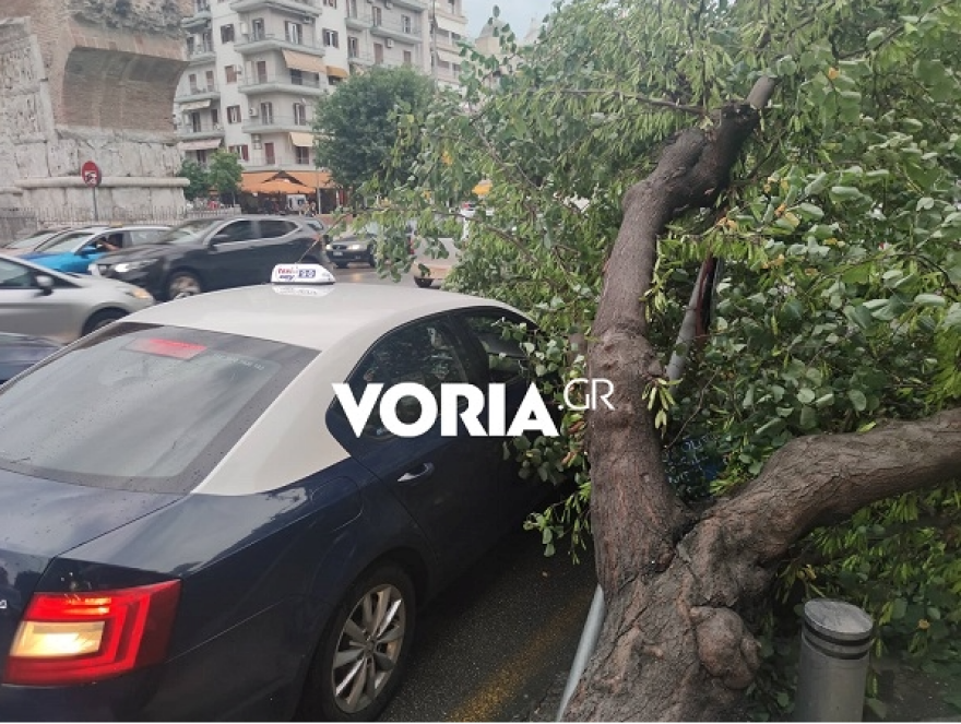 Σφοδρή χαλαζόπτωση σε Φλώρινα, Σέρρες και Λάρισα - «Ποτάμια» οι δρόμοι στη Θεσσαλονίκη (βίντεο και φωτογραφίες)