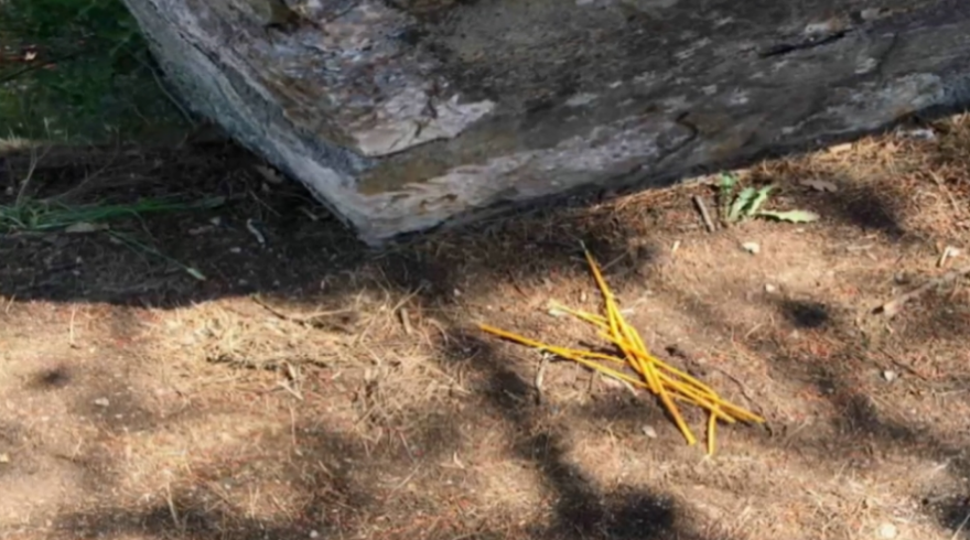 Μαλακάσα: Προφυλακίστηκε ο Βρετανός που κατηγορείται για τη φωτιά