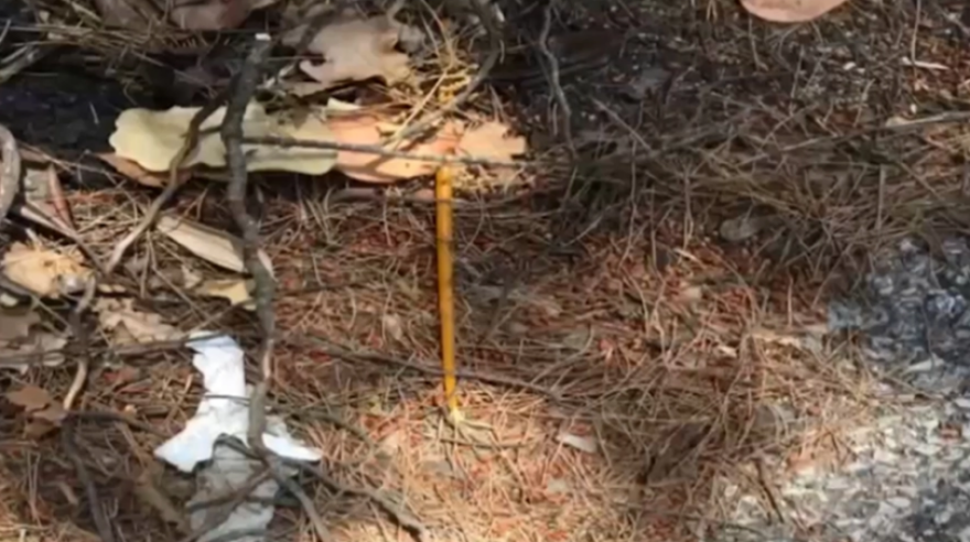 Μαλακάσα: Προφυλακίστηκε ο Βρετανός που κατηγορείται για τη φωτιά