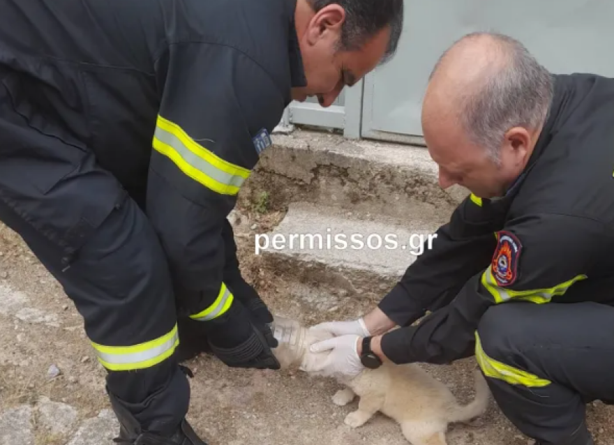 Θήβα: Πυροσβέστες έσωσαν σκυλίτσα - Σφήνωσε σε πλαστικό μπουκάλι και δεν έπαιρνε ανάσα