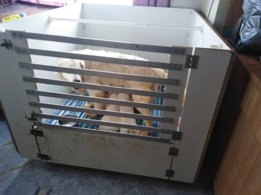 Θεσσαλονίκη: Εδώ κρατούσε τα 16 σκυλιά η 60χρονη που συνελήφθη για κακοποίηση