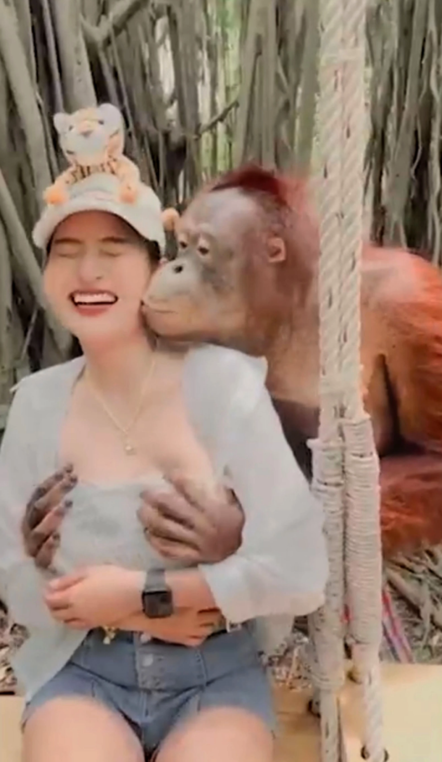 Viral: «Επίθεση» αγάπης ουρακοτάγκου σε γυναίκα σε ζωολογικό κήπο της Ταϊλάνδης - Δείτε βίντεο