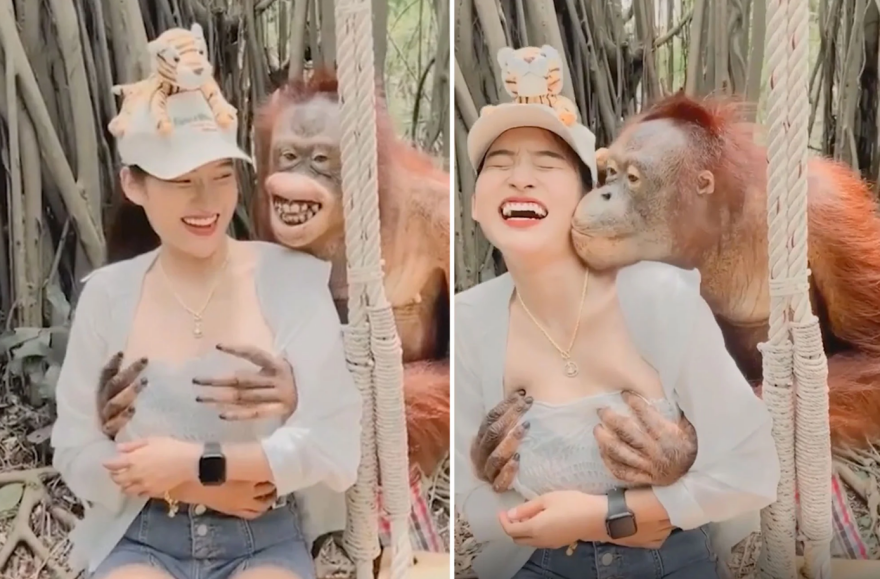 Viral: «Επίθεση» αγάπης ουρακοτάγκου σε γυναίκα σε ζωολογικό κήπο της Ταϊλάνδης - Δείτε βίντεο
