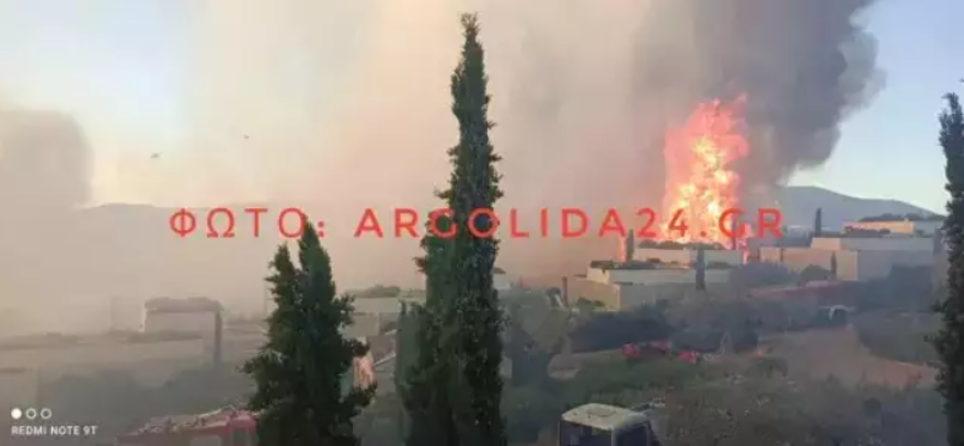 Φωτιές: Πύρινα μέτωπα σε Ιτέα και Κρανίδι - Στη μάχη τα εναέρια μέσα 