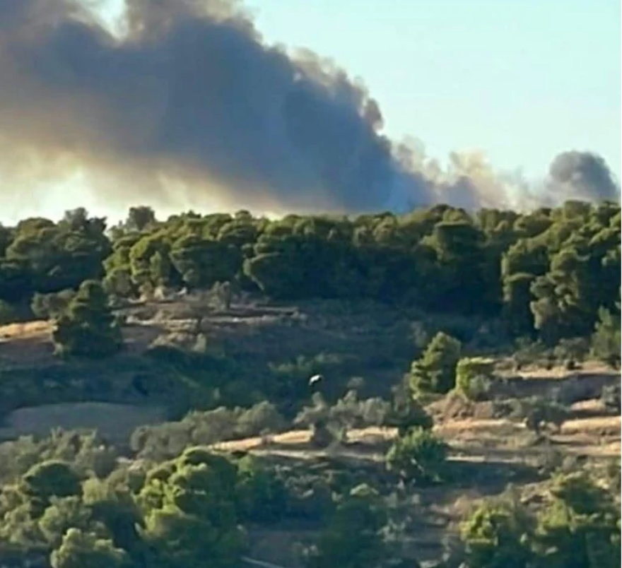 Φωτιές: Πύρινα μέτωπα σε Ιτέα και Κρανίδι - Στη μάχη τα εναέρια μέσα 