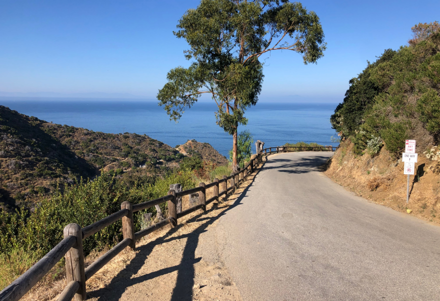 Στέλιος Πέτσας: Παρεμβάσεις για την οδική ασφάλεια με προϋπολογισμό 335 εκατ. ευρώ, νέα πρόσκληση σε δήμους-Περιφέρειες