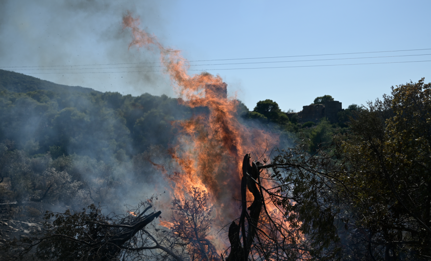 Φωτιές: Σε εξέλιξη η πυρκαγιά στο Πόρτο Γερμενό, καλύτερη η εικόνα στον Πύργο Ηλείας