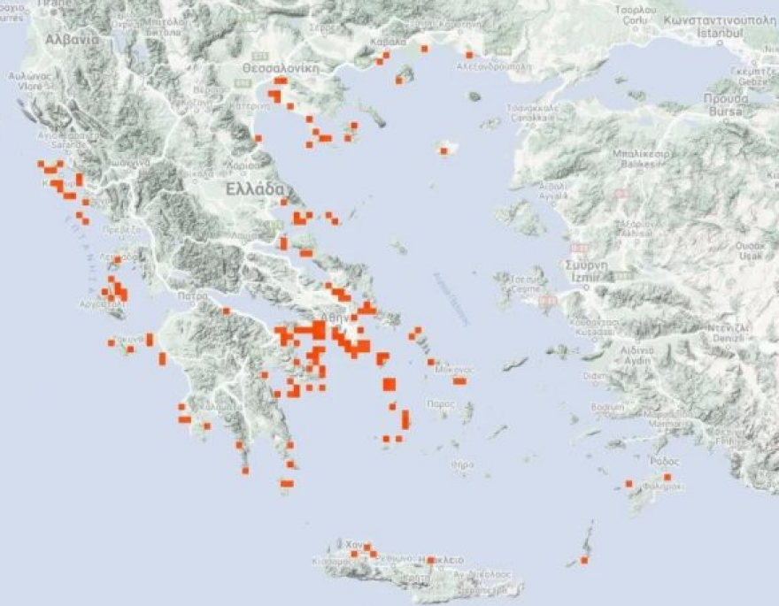 Μωβ μέδουσες: Ο χάρτης με τις πιο επικίνδυνες παραλίες στην Ελλάδα