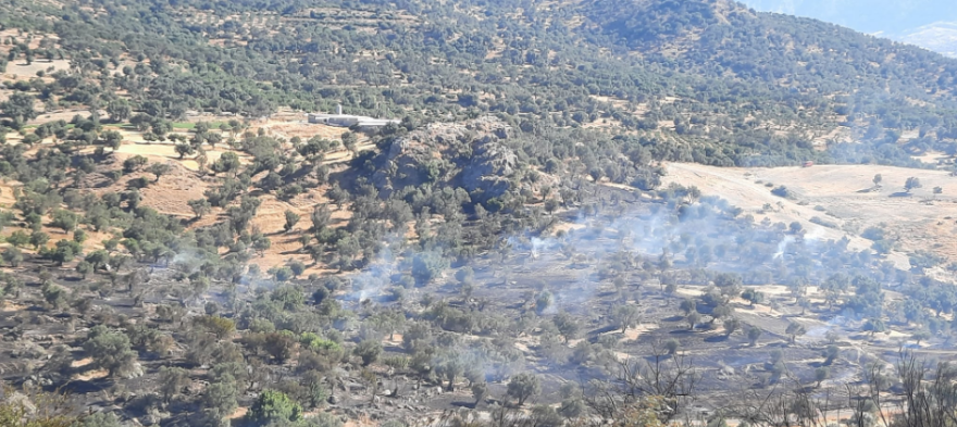 Φωτιές: Καλύτερη η εικόνα των πυρκαγιών σε Ρέθυμνο και Πάτρα