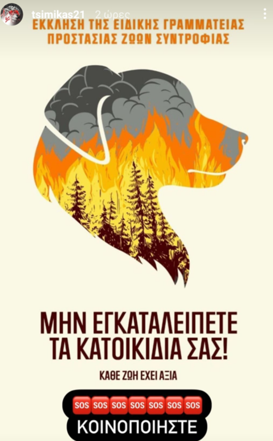 Τσιμίκας: Έκκληση για προστασία των ζώων στις περιοχές των πυρκαγιών 