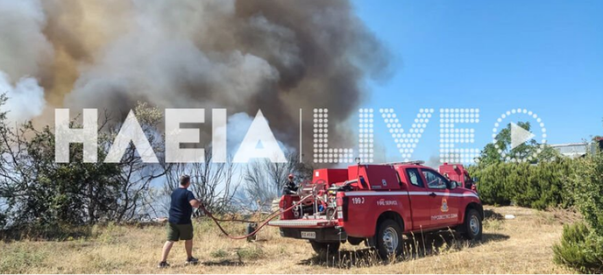 Φωτιά στην περιοχή Άγναντα Ηλείας, κοντά στον οικισμό οι φλόγες - Τραυματίστηκε πυροσβέστης