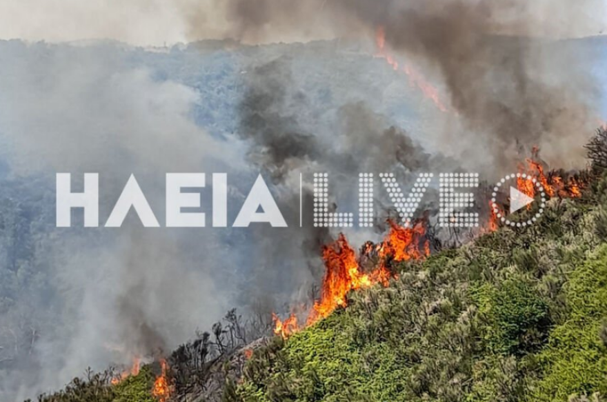 Φωτιά στην περιοχή Άγναντα Ηλείας, κοντά στον οικισμό οι φλόγες - Τραυματίστηκε πυροσβέστης