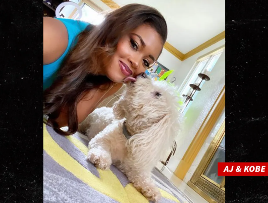 Προσοχή, σκληρές εικόνες: Πήγε τον σκύλο της για περιποίηση νυχιών και τον παρέλαβε... νεκρό!