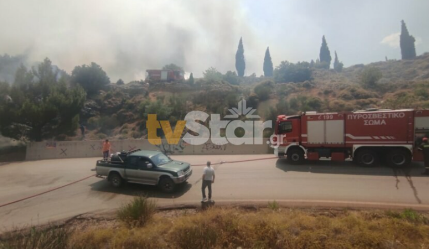 Φωτιά τώρα στο Δίστομο Βοιωτίας: Ενισχύθηκαν οι δυνάμεις, δείτε βίντεο και φωτογραφίες