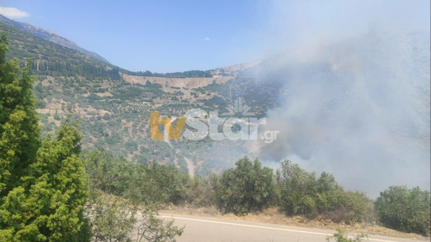 Φωτιά τώρα στο Δίστομο Βοιωτίας: Ενισχύθηκαν οι δυνάμεις, δείτε βίντεο και φωτογραφίες