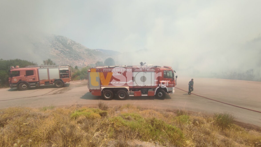 Φωτιά τώρα στο Δίστομο Βοιωτίας: Ενισχύθηκαν οι δυνάμεις, δείτε βίντεο και φωτογραφίες