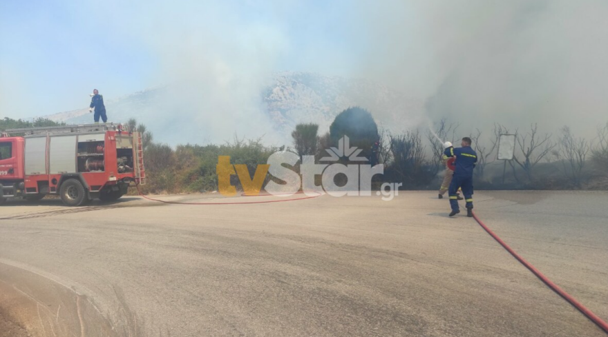 Φωτιά τώρα στο Δίστομο Βοιωτίας: Ενισχύθηκαν οι δυνάμεις, δείτε βίντεο και φωτογραφίες