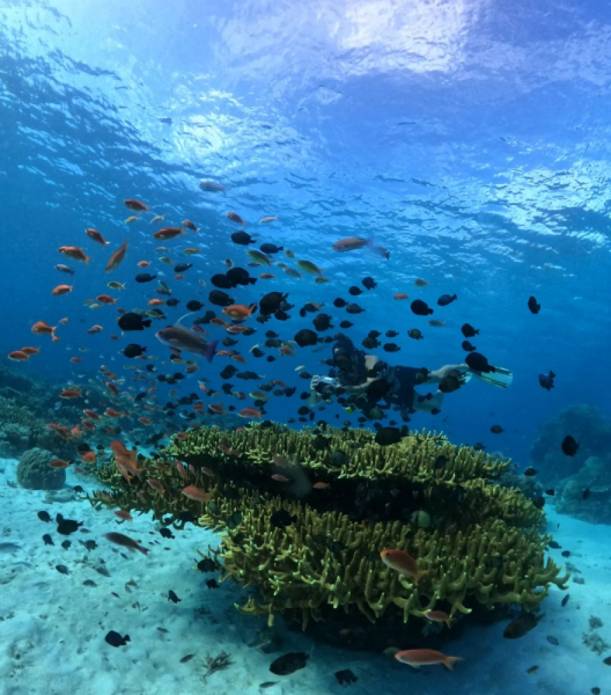 Μαρίνα Βερνίκου - Μίλτος Καμπουρίδης: Οικογενειακές διακοπές στην Ινδονησία