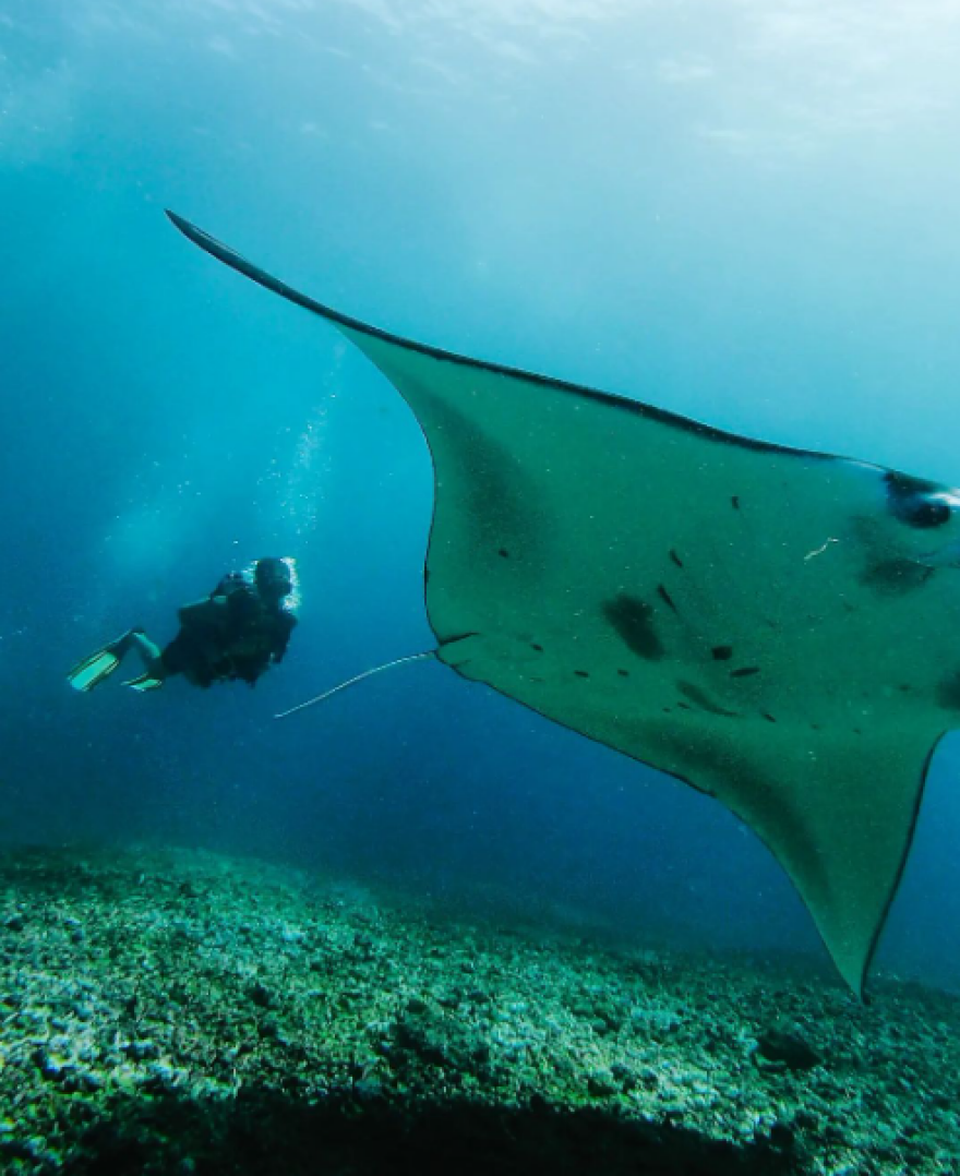 Μαρίνα Βερνίκου - Μίλτος Καμπουρίδης: Οικογενειακές διακοπές στην Ινδονησία