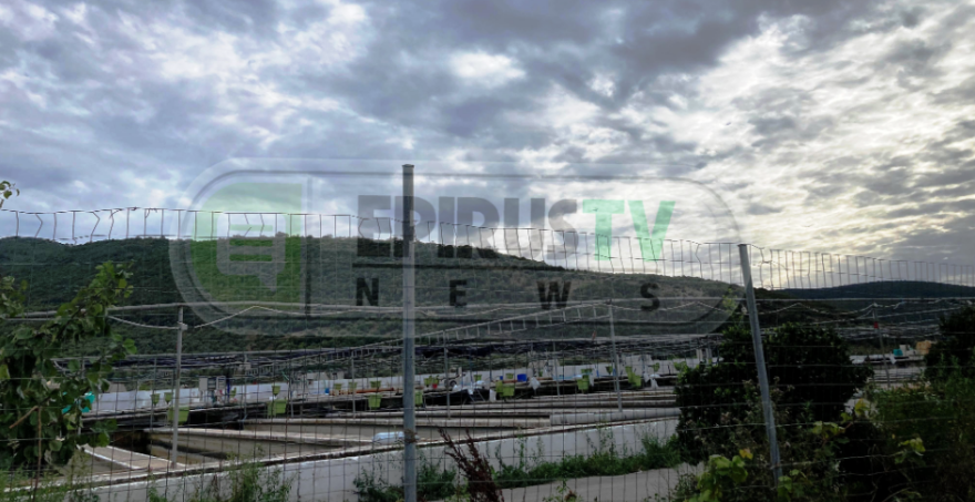 Συνελήφθησαν δύο υπεύθυνοι του ιχθυοτροφείου μετά τη φονική έκρηξη στην Πρέβεζα