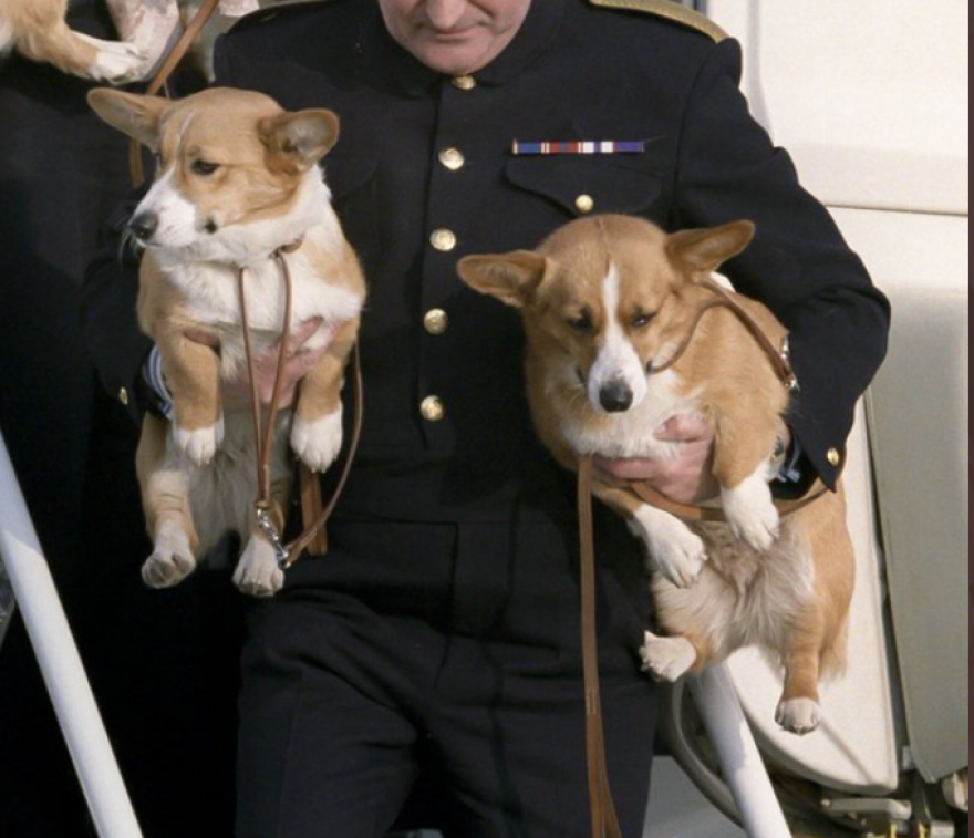 Βασίλισσα Ελισάβετ: Η αγάπη της για τα κόργκι - 14 γενιές πέρασαν από το παλάτι - Δείτε φωτογραφίες 