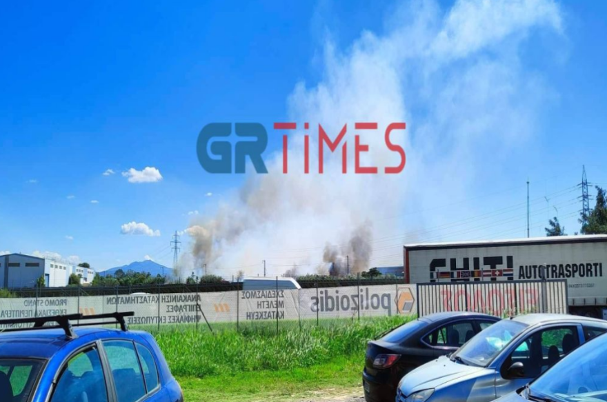 Φωτιά τώρα στη Σίνδο Θεσσαλονίκης, ισχυροί άνεμοι στην περιοχή  - Δείτε βίντεο και φωτογραφίες