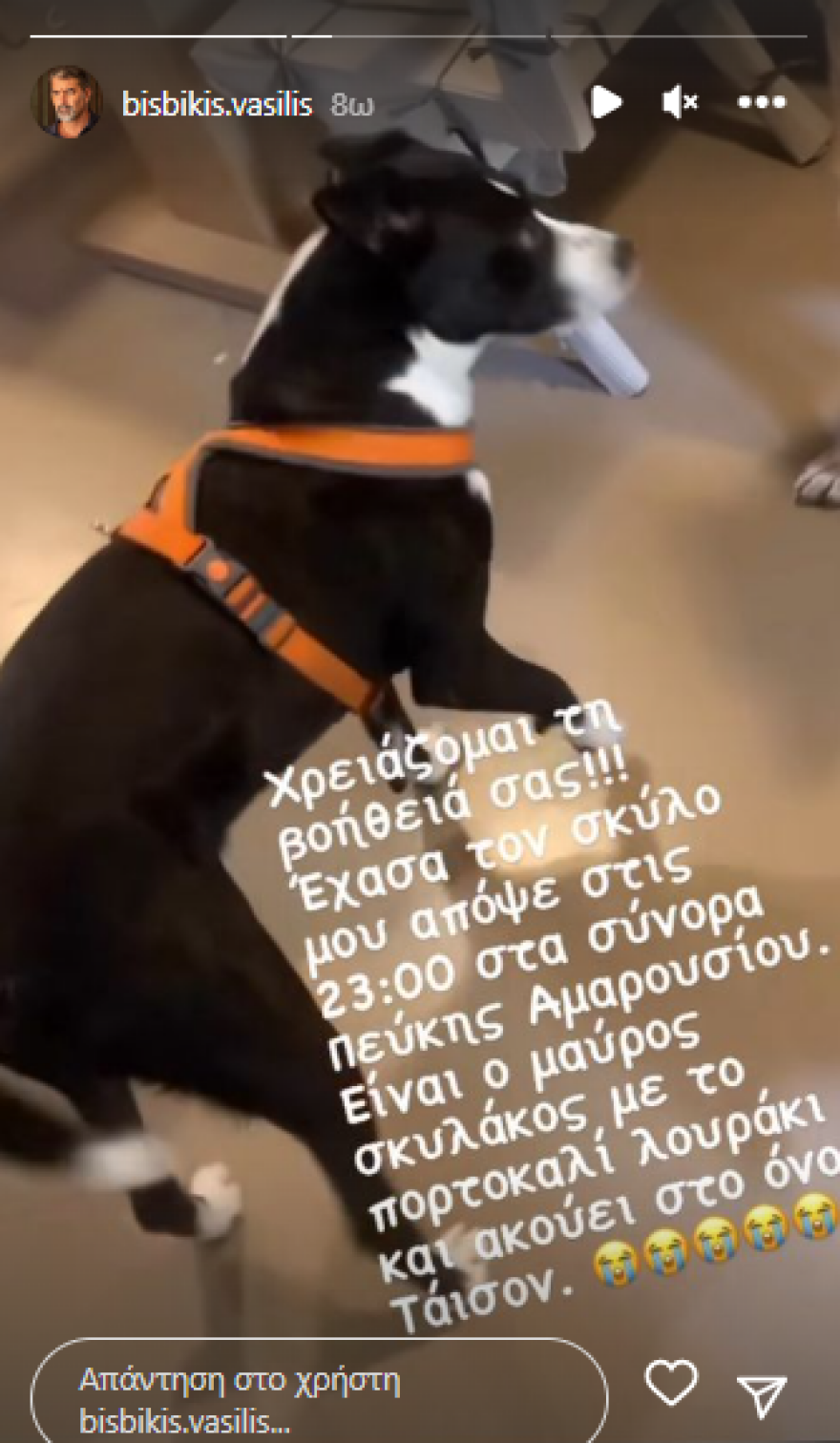 Βασίλης Μπισμπίκης: Τα… social media βρήκαν τον σκύλο του 
