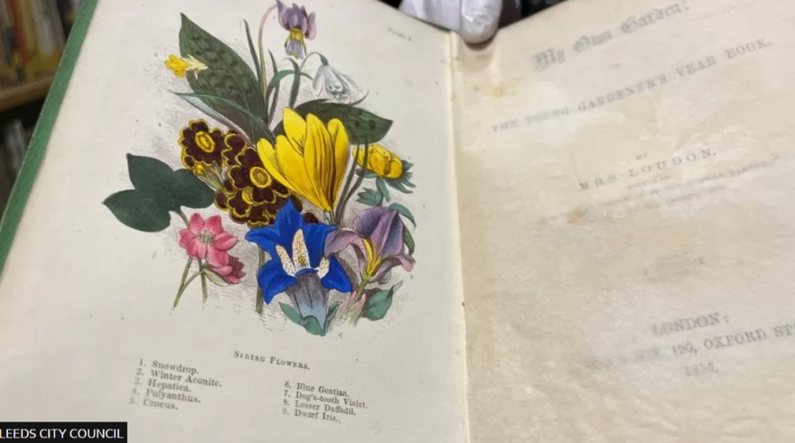 «Φονικό» βιβλίο στο Λιντς: Βρέθηκε αρσενικό στο εξώφυλλο