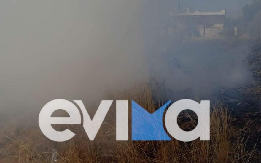 Φωτιές: Δύο πύρινα μέτωπα στην Ερέτρια 