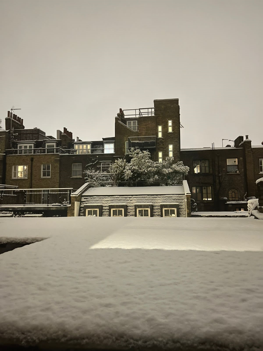 Βρετανία: Χιονίζει στο Λονδίνο και βγήκαν οι αλεπούδες στους δρόμους – Δείτε βίντεο