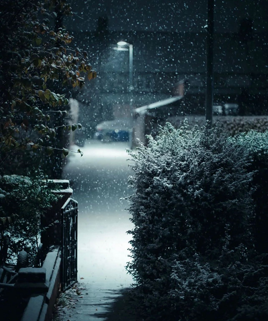 Βρετανία: Χιονίζει στο Λονδίνο και βγήκαν οι αλεπούδες στους δρόμους – Δείτε βίντεο