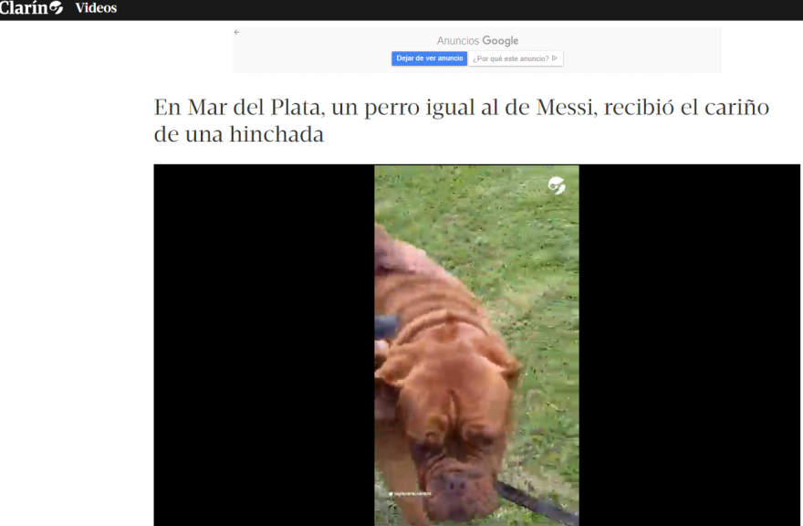 Μουντιάλ 2022: Αποθεώθηκε μέχρι και o «σκύλος του Μέσι»! - Δείτε βίντεο