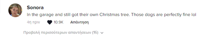 Κιμ Καρντάσιαν: Αντιδράσεις προκάλεσε το νέο της βίντεο - Τα σκυλιά της ζουν στο... γκαράζ