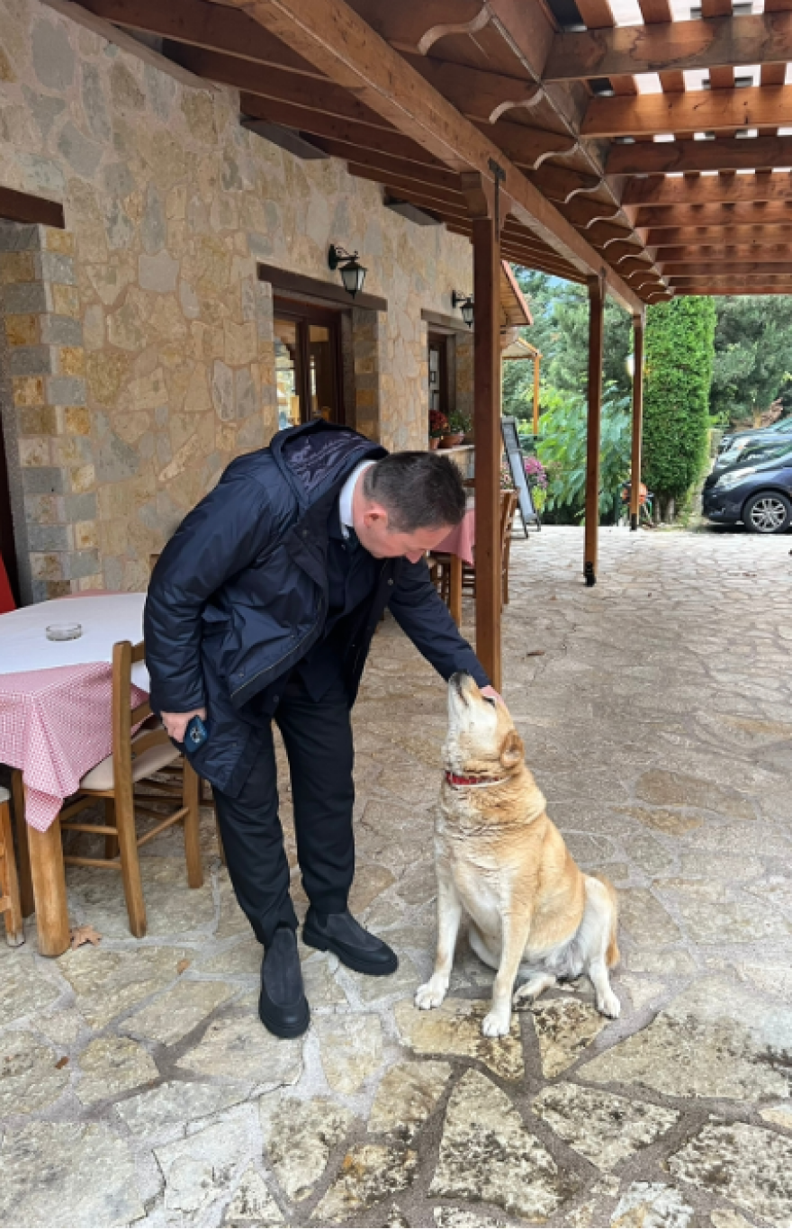 Στέλιος Πέτσας - Ζώα συντροφιάς: «Βάζουμε γερές βάσεις για την ευζωία των αδέσποτων» - Οι προδιαγραφές για την αδειοδότηση καταφυγίων 