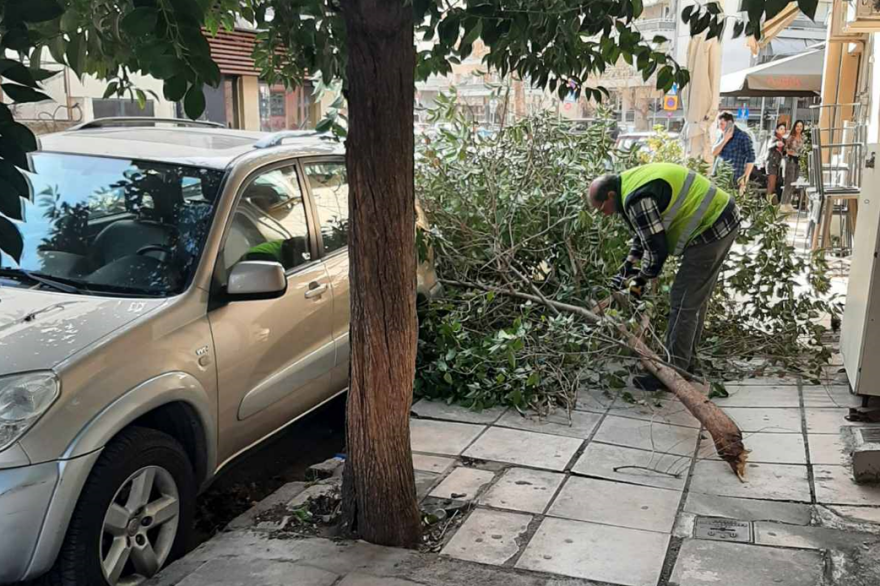 Καιρός: Η κακοκαιρία έπληξε και τη Θεσσαλονίκη - Πτώσεις δέντρων από τα ισχυρά μποφόρ