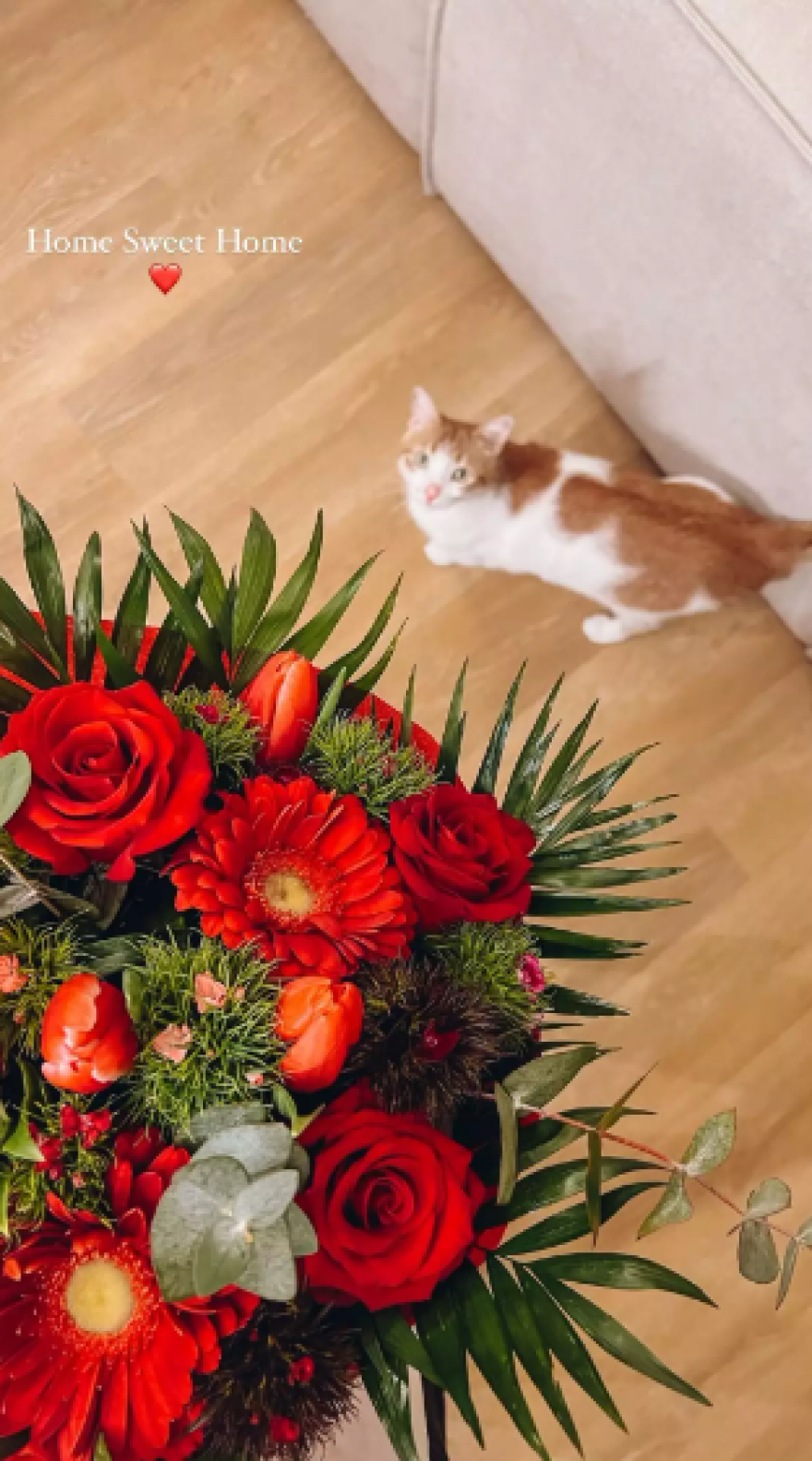 Ευρυδίκη Βαλαβάνη: Επέστρεψε στην Ελλάδα - Η πρώτη της ανάρτηση μετά την αποχώρησή της από το Survivor 