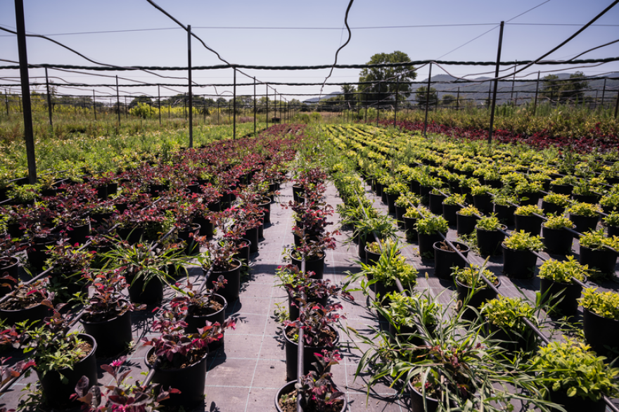 Υπεύθυνη μεταλλευτική δραστηριότητα: Το παράδειγμα της μεθόδου παράλληλης περιβαλλοντικής αποκατάστασης της Ελληνικός Χρυσός 