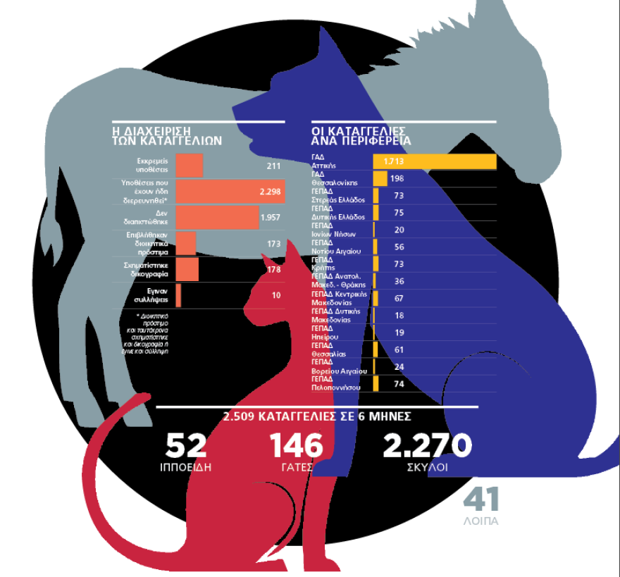 Tι σου φταίει το καημένο το ζωάκι, βρε κτήνος; - 2.500 καταγγελίες για κακοποίηση μέσα σε έξι μήνες