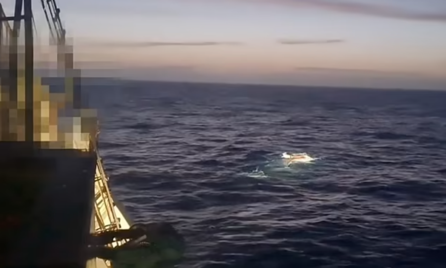 Ισλανδία: Η στιγμή που θηρευτές θανατώνουν φάλαινα με εκρηκτικά - Δείτε βίντεο