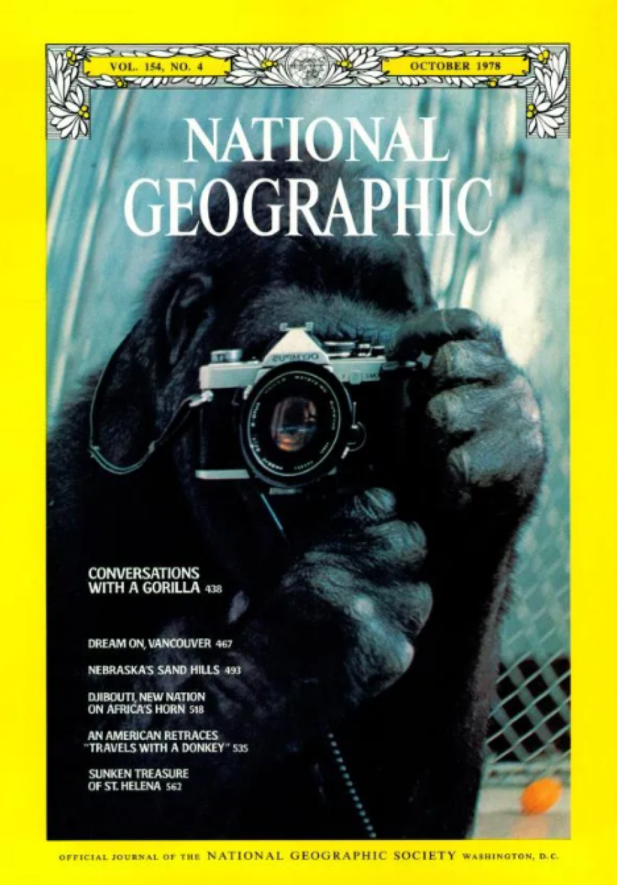 National Geographic: Τέλος εποχής για το θρυλικό περιοδικό - Απέλυσε τους τελευταίους συντάκτες του