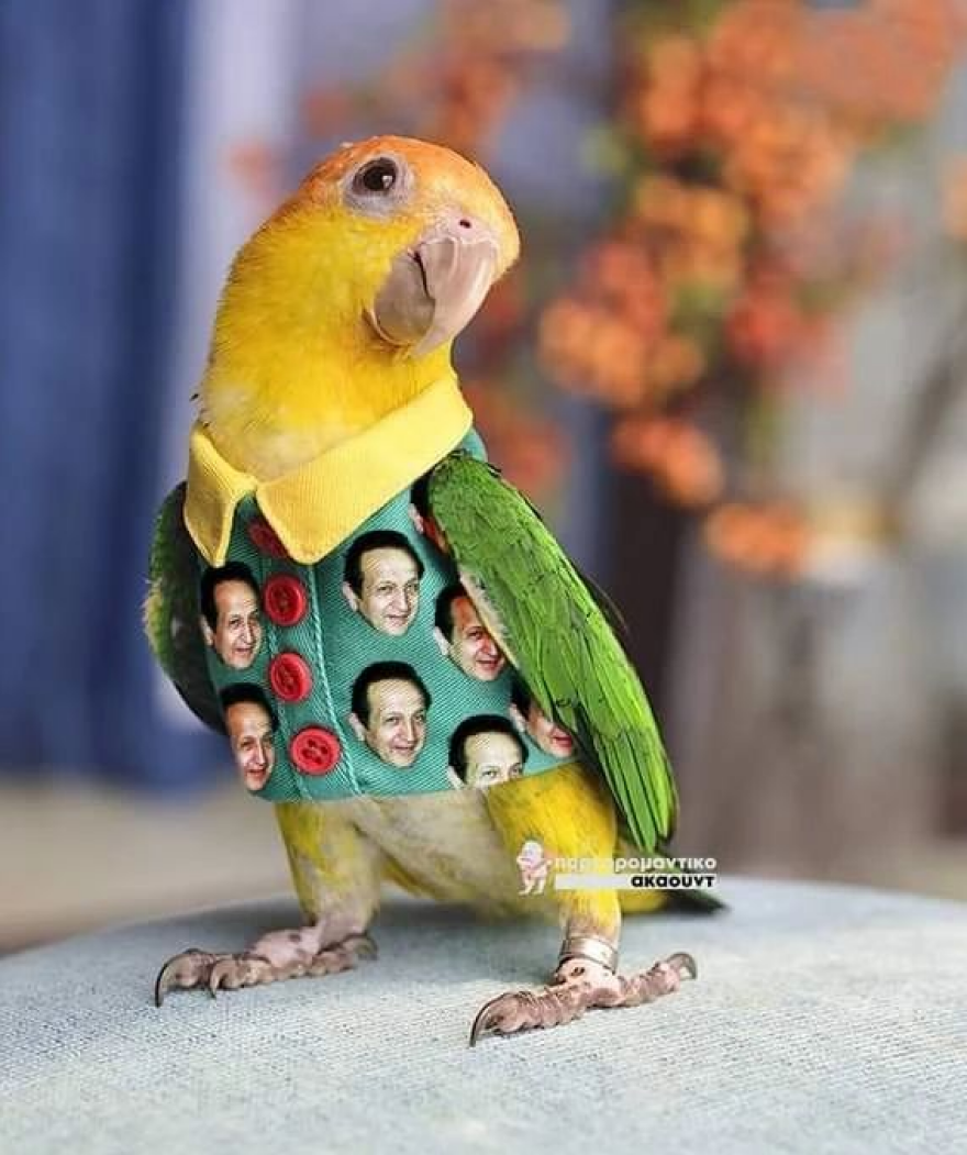 Μπιμπίλας: Φωτογραφίζεται με τους παπαγάλους του μετά το viral πουκάμισο στη Βουλή