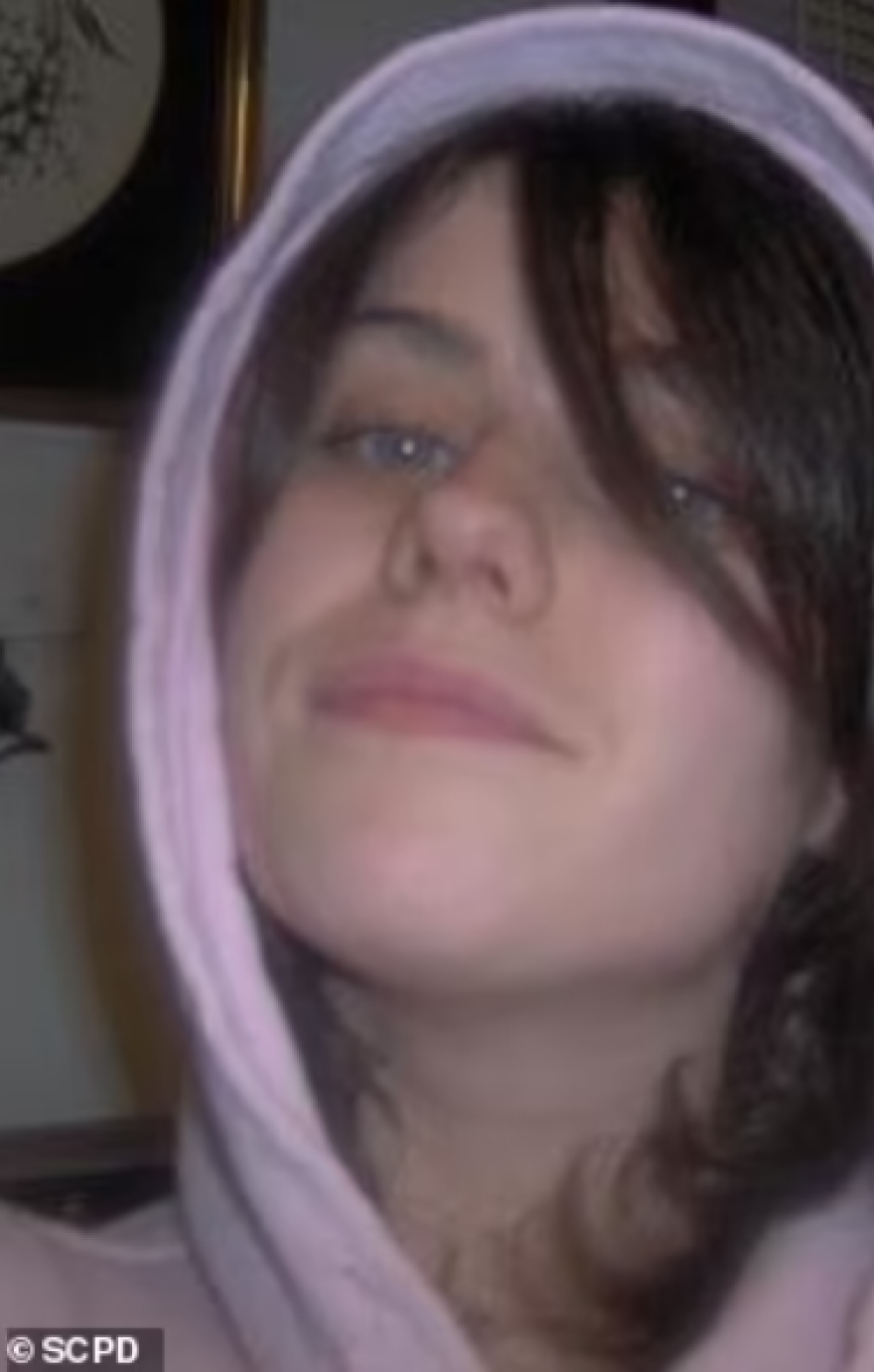 Νέα Υόρκη: Η στιγμή της σύλληψης του serial killer εκδιδόμενων γυναικών - Η υπόθεση που συγκλόνισε τις ΗΠΑ