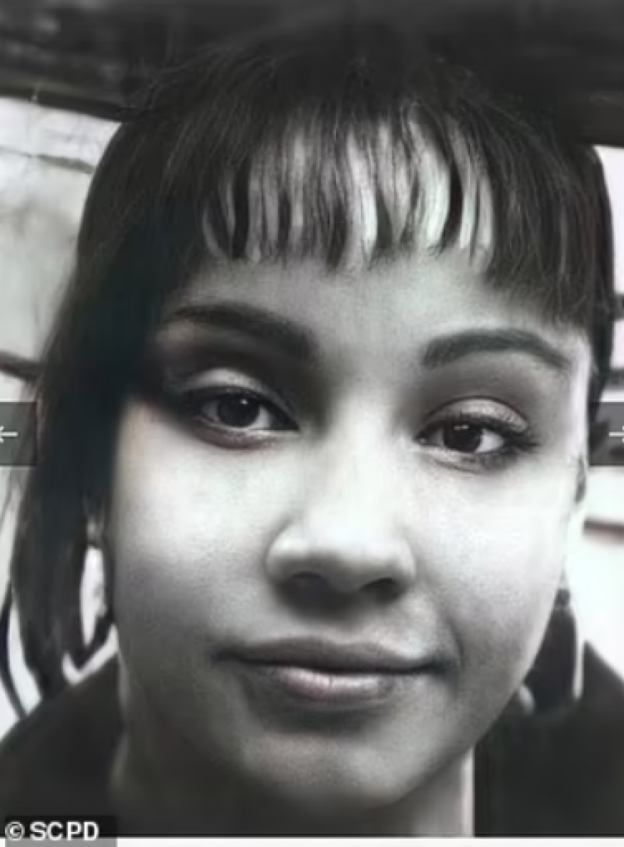 Νέα Υόρκη: Η στιγμή της σύλληψης του serial killer εκδιδόμενων γυναικών - Η υπόθεση που συγκλόνισε τις ΗΠΑ