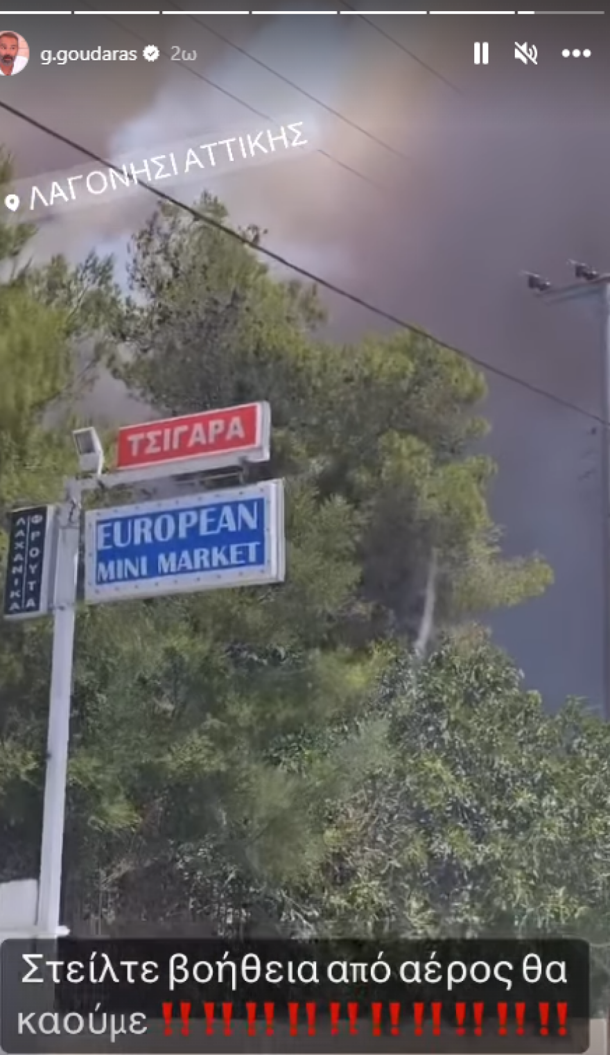 Φωτιά στο Λαγονήσι-Γρηγόρης Γκουντάρας: «Θα καούμε»