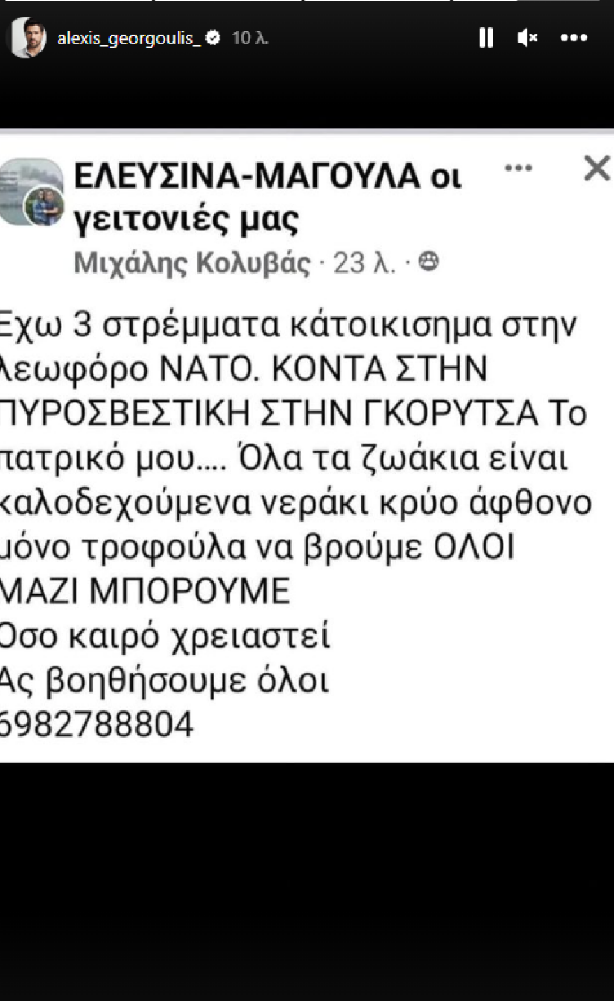 Αλέξης Γεωργούλης: «Εμφανίστηκε» στα social media μετά από μήνες
