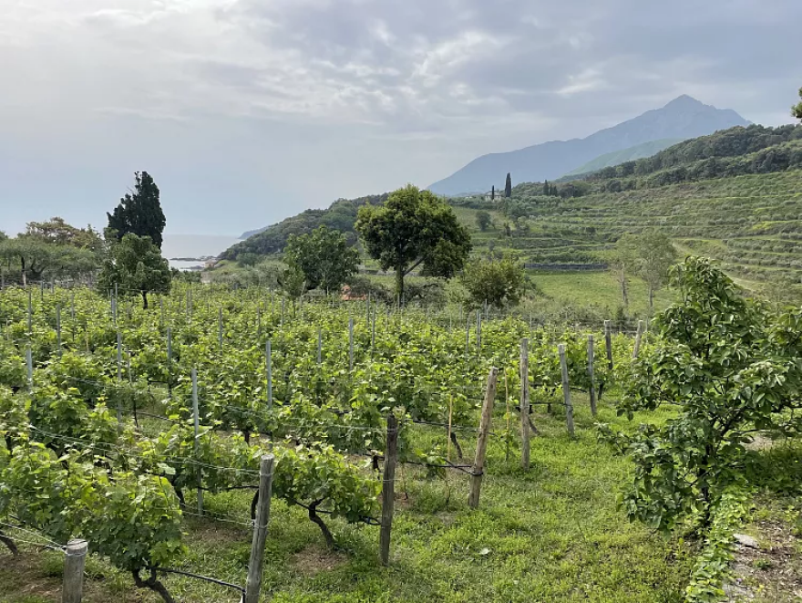 Τα άγνωστα μονοπάτια του Αγίου Όρους που μοιάζουν με ταξίδι στον χρόνο