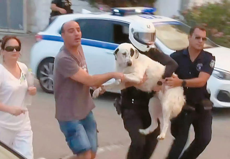 Οι ήρωες αστυνομικοί στη μάχη των πυρκαγιών: «Δεν φεύγω από εδώ, αν δεν φύγεις κι εσύ» 