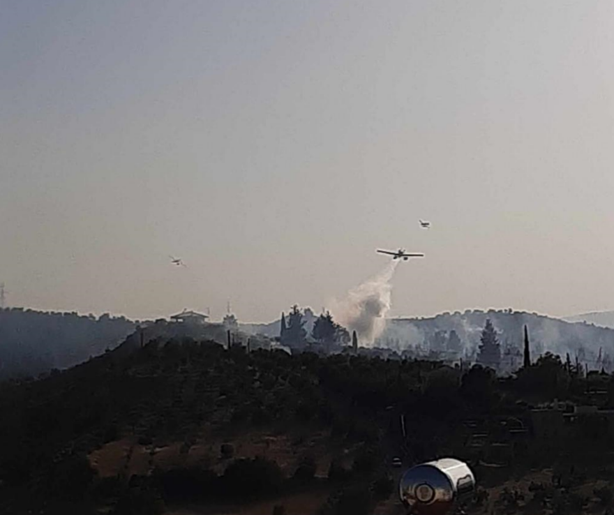 Φωτιά κοντά σε σπίτια στη Θήβα - Ενισχύθηκαν οι δυνάμεις της Πυροσβεστικής