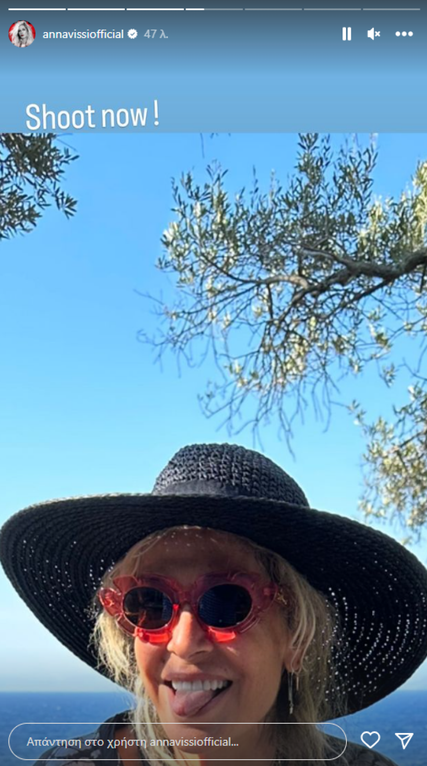 Άννα Βίσση: Οι φωτογραφίες από τις διακοπές της και η συνάντηση με τον Χριστόφορο Παπακαλιάτη