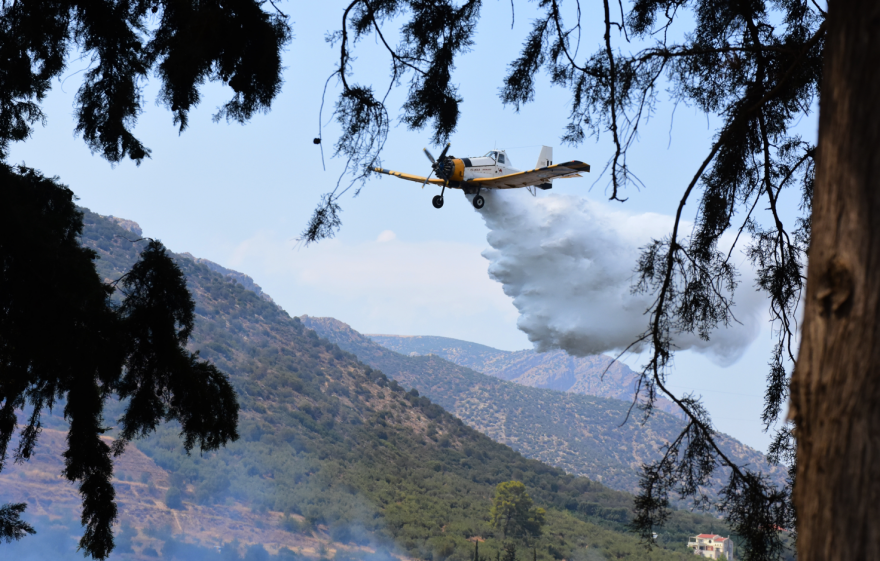 Φωτιές - Άκης Σκέρτσος: Άκρως δυσμενείς φέτος οι συνθήκες - Χρειάζεται επανασχεδιασμός